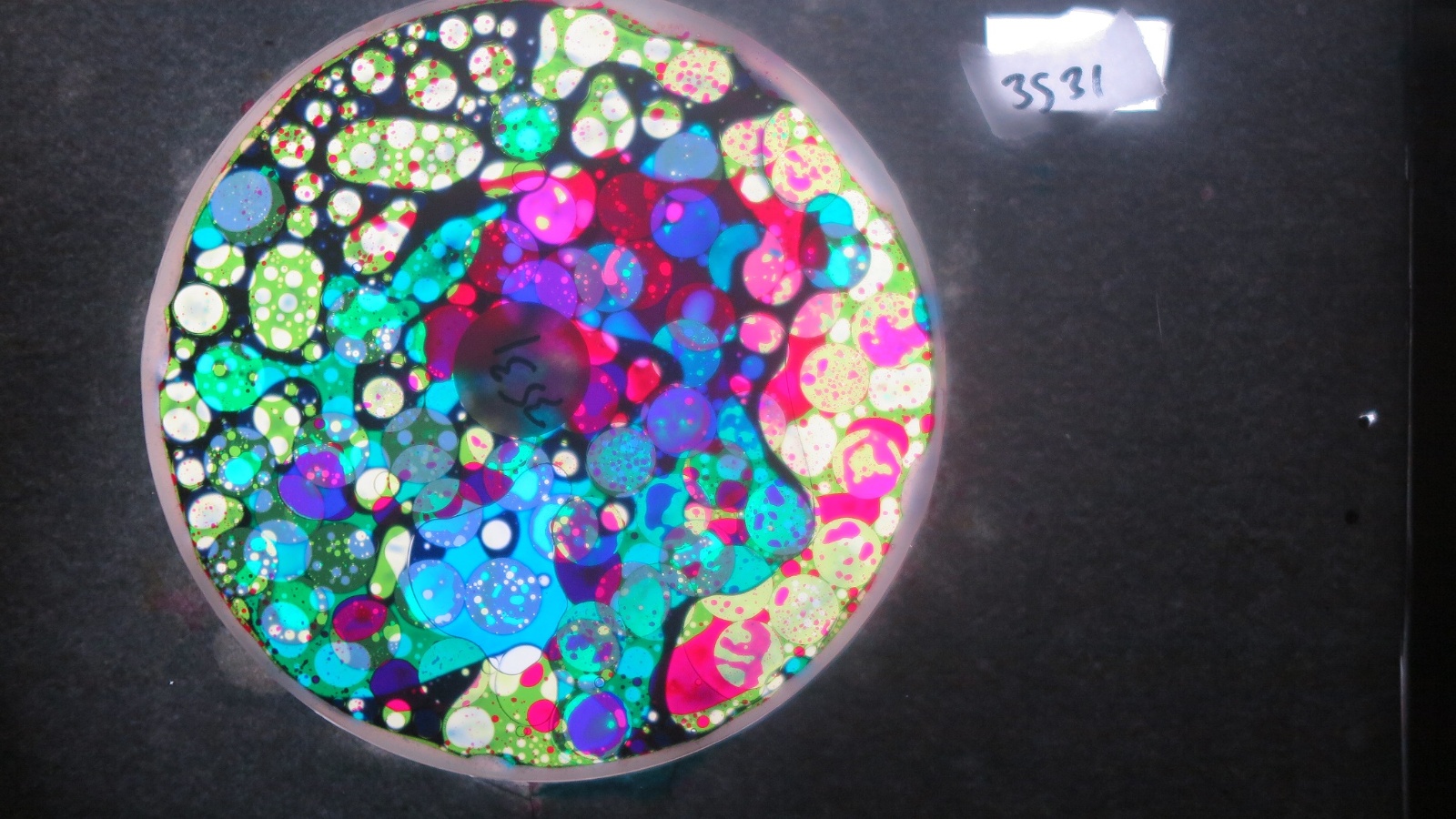 BV3531 bubble vision oil wheel